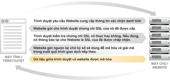 ssl_2.jpg